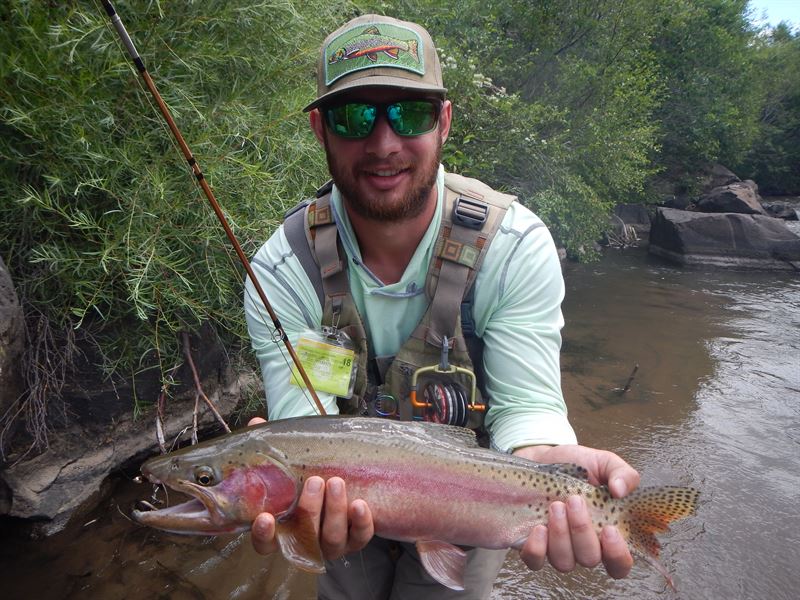 Costilla Creek Fish & Hunt : Amalia : Taos County : New Mexico