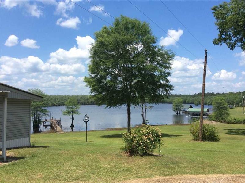 Saline Lake Camps Tract, Winnfield : Winnfield : Winn Parish : Louisiana