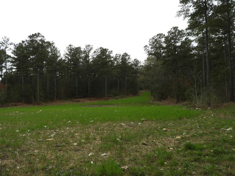 Bunch Mountain : Adairsville : Bartow County : Georgia