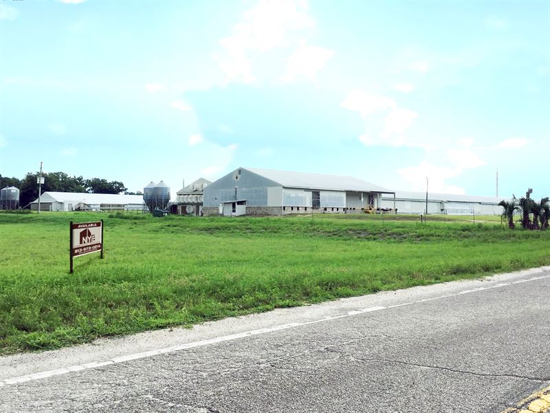Poultry Farm + Land + Plant House, Ranch for Sale in Florida, 153130