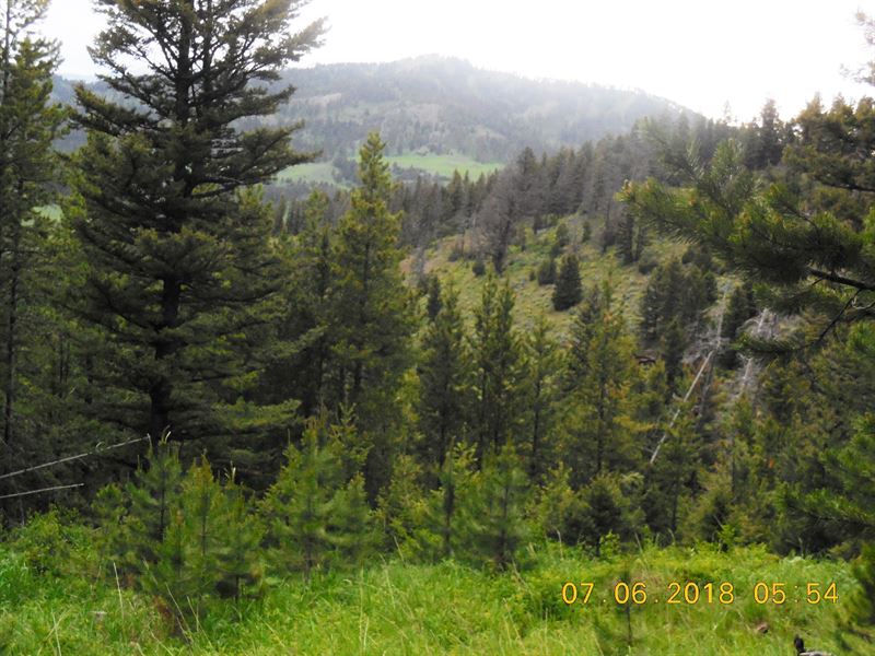 Elk Mountain Property : Bozeman : Gallatin County : Montana