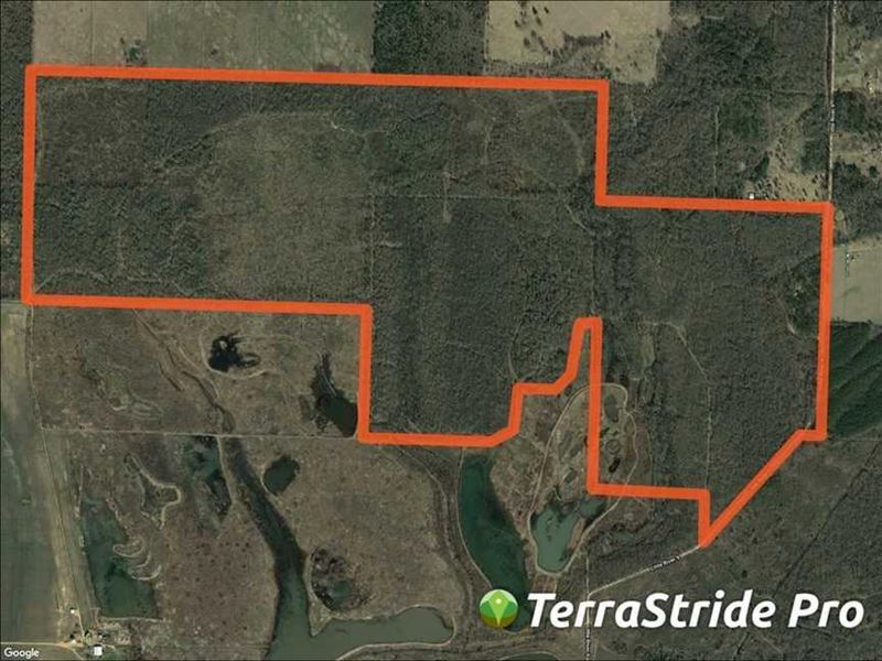 Hollywood Hunting Club : Ashdown : Little River County : Arkansas