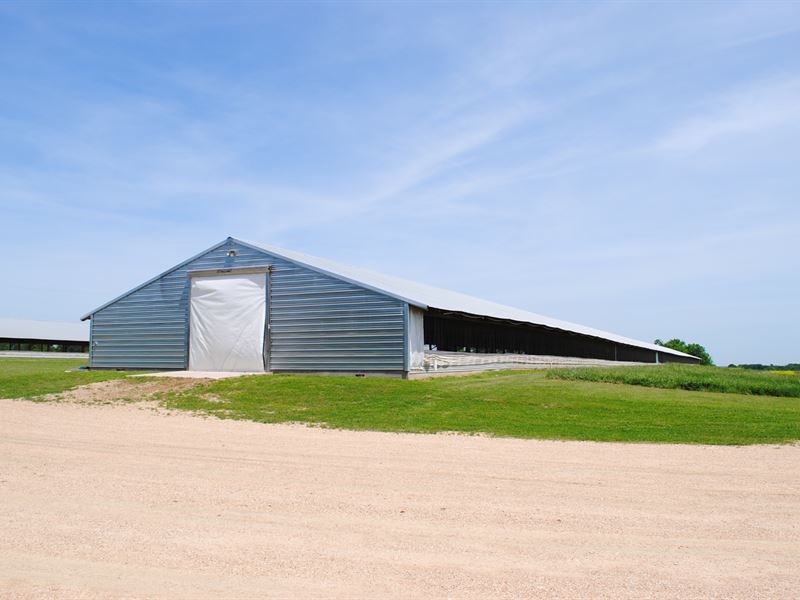 26 Acres with Large Barns : Cameron : Milam County : Texas