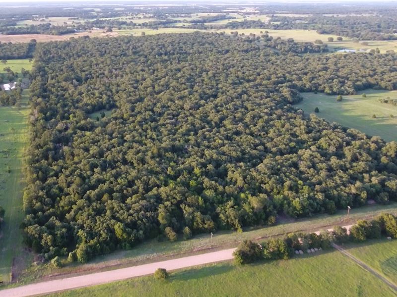 49.25 Acres, Cr 237 : Milano : Milam County : Texas