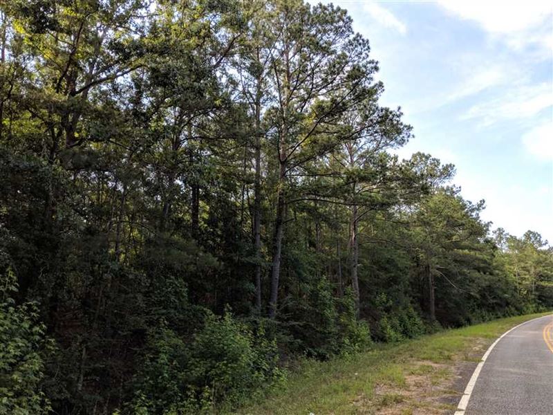 Wooded Investment Property Located : Ideal : Macon County : Georgia