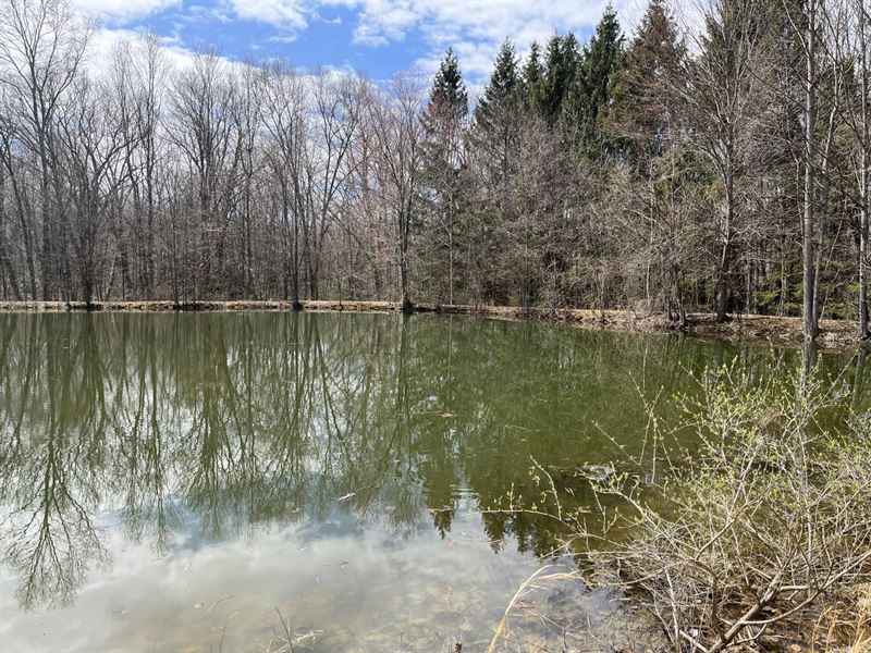 22 Acres Hawthorne Road : Cherry Tree : Indiana County : Pennsylvania
