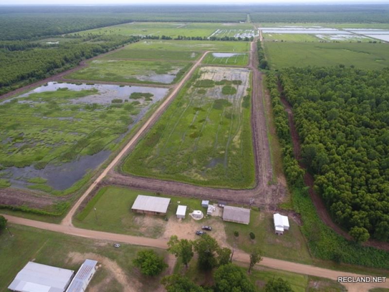 400 Ac, Duck & Deer Hunting WI : Jonesville : Concordia Parish : Louisiana