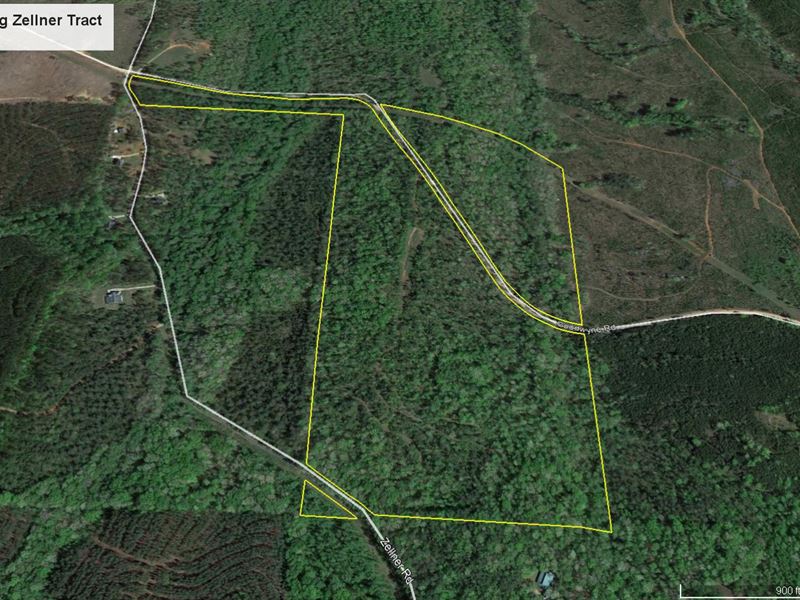 92.7 Acre Big Zellner Tract : Forsyth : Monroe County : Georgia