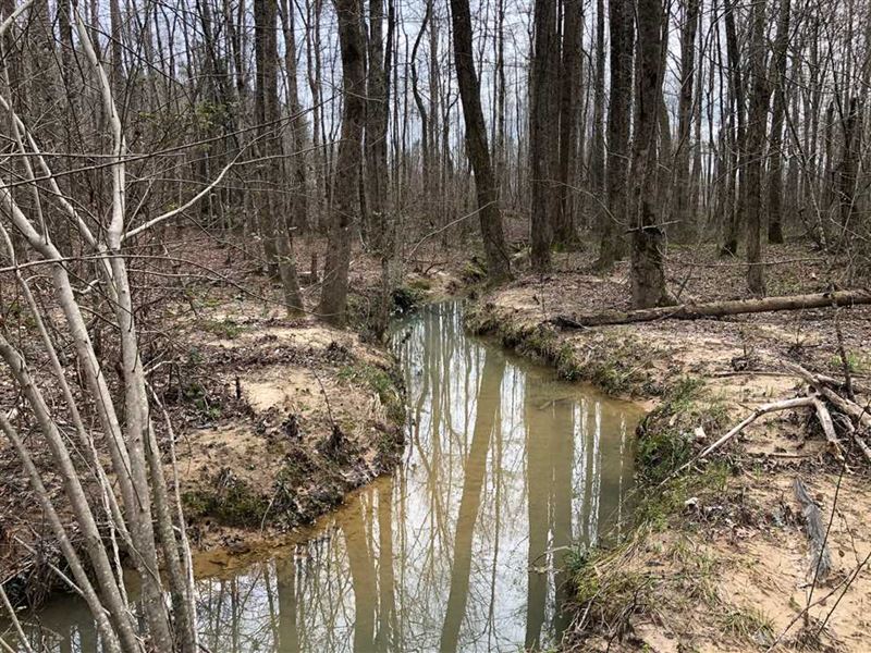 336 Acres Land for Sale County Roa : Hamilton : Marion County : Alabama