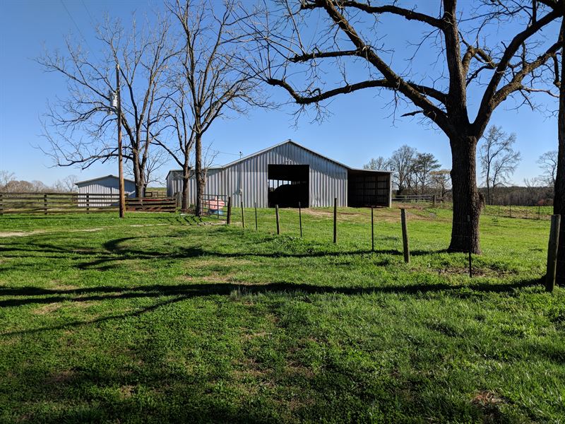 42+/- Acres Pastureland : Wadley : Clay County : Alabama