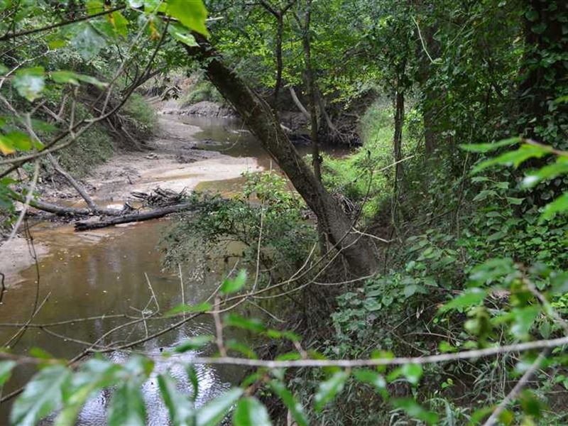 104 Acres of Excellent Hunting : D'lo : Simpson County : Mississippi