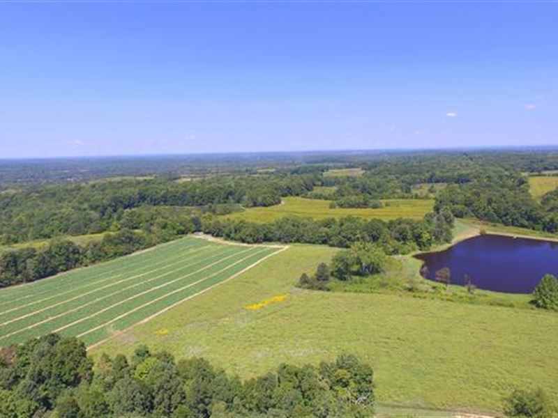 Quail Hollow Farm : Charlotte : Dickson County : Tennessee
