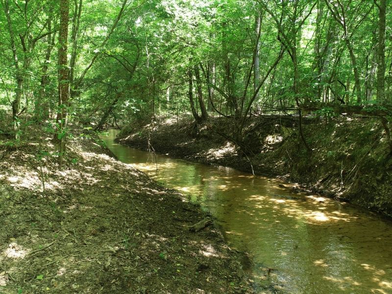 Twelve Oaks : Grapeland : Houston County : Texas