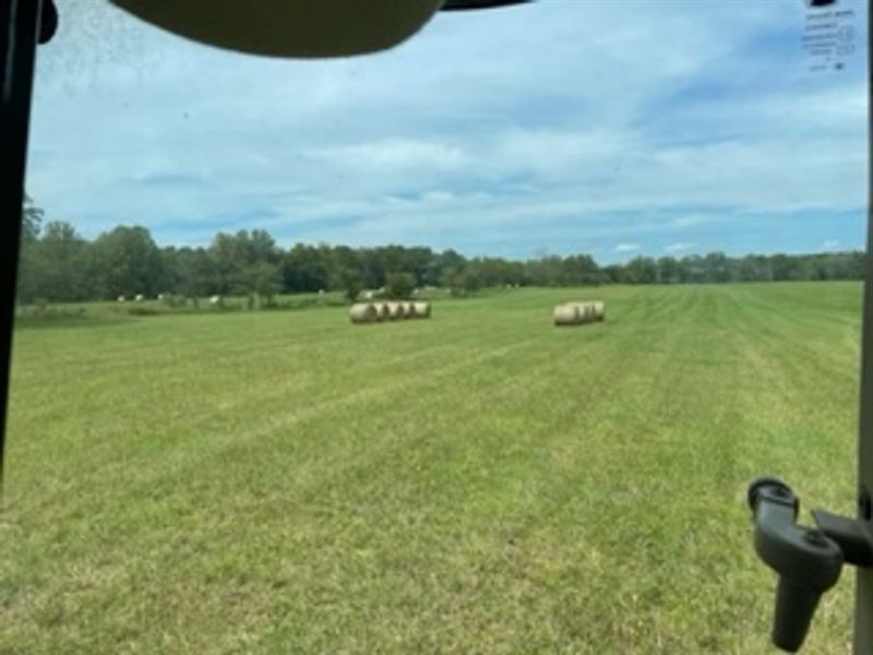 62 Acres, Hay Ground, Pasture, Live : West Plains : Howell County : Missouri