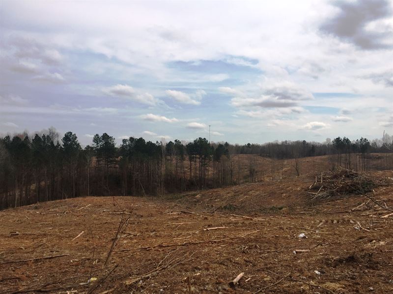 Tract 1514 E : Bolivar : Hardeman County : Tennessee