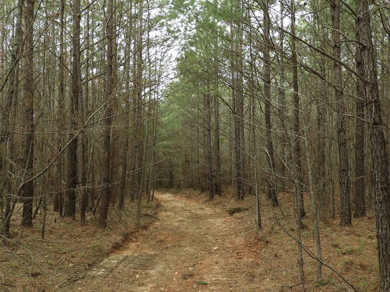 Seabreeze Lake Road : Buchanan : Haralson County : Georgia