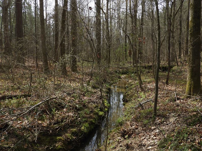 Hagood Road : Tallapoosa : Haralson County : Georgia