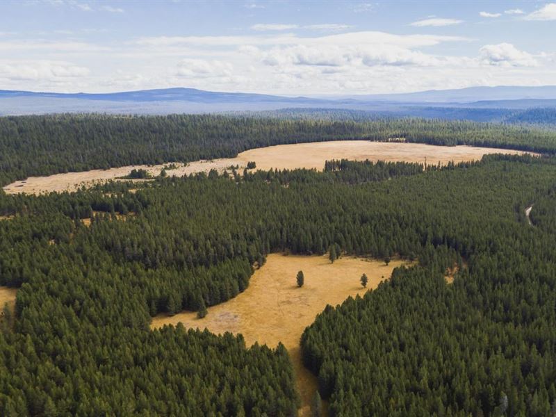 Parker Meadows Ranch : Chemult : Klamath County : Oregon