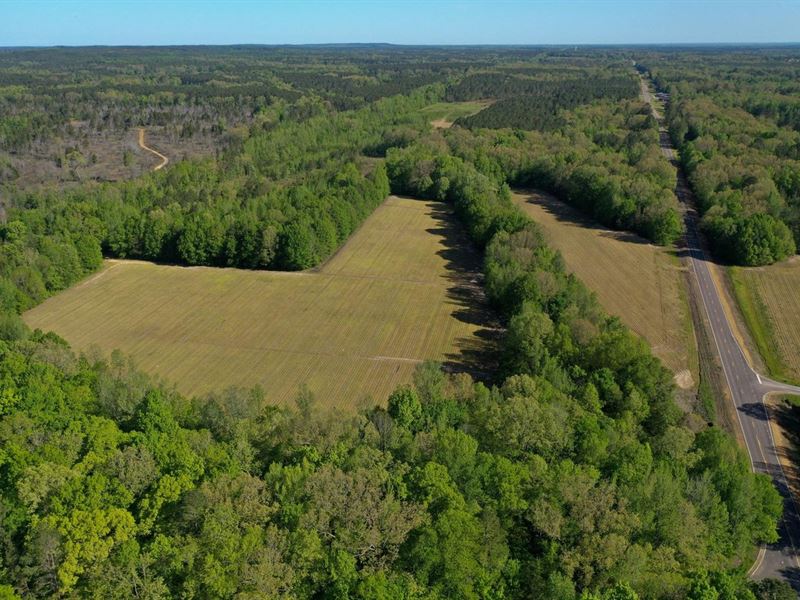 Webster's 73 : Mantee : Webster County : Mississippi