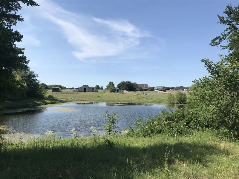 Equestrian Estate, Ranch for Lease in Texas, 154473 RANCHFLIP