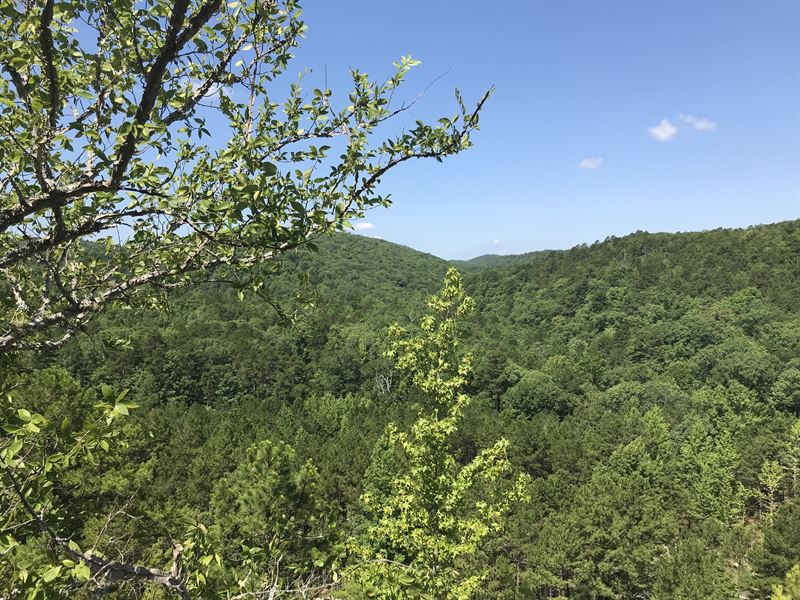 Hot Springs Area Wooded Land, Ranch for Sale by Owner in Arkansas