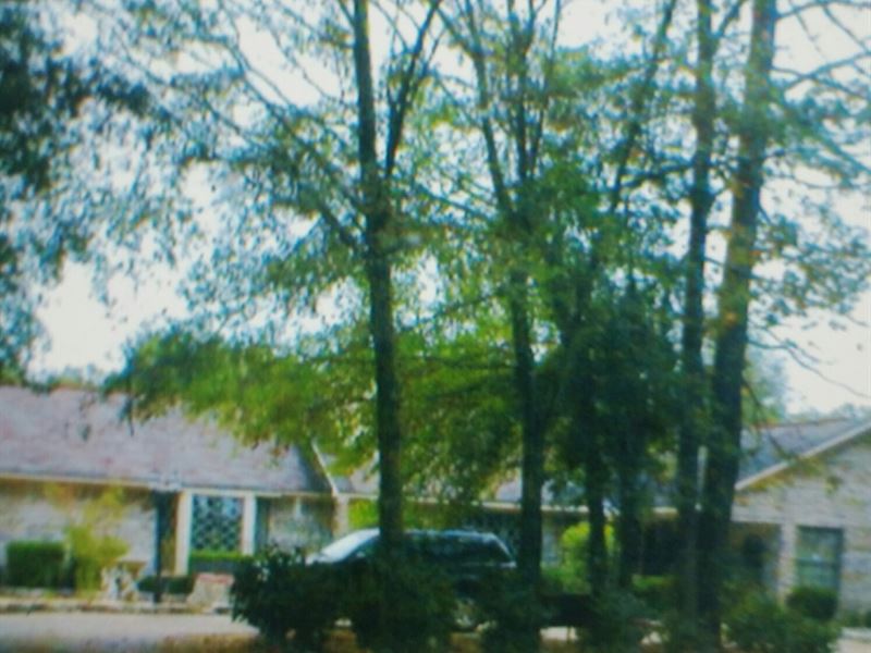Hunters Dream with Large House : Coleman : Randolph County : Georgia