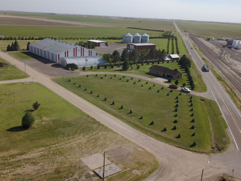Wegener Farms : Humphrey : Perkins County : Nebraska
