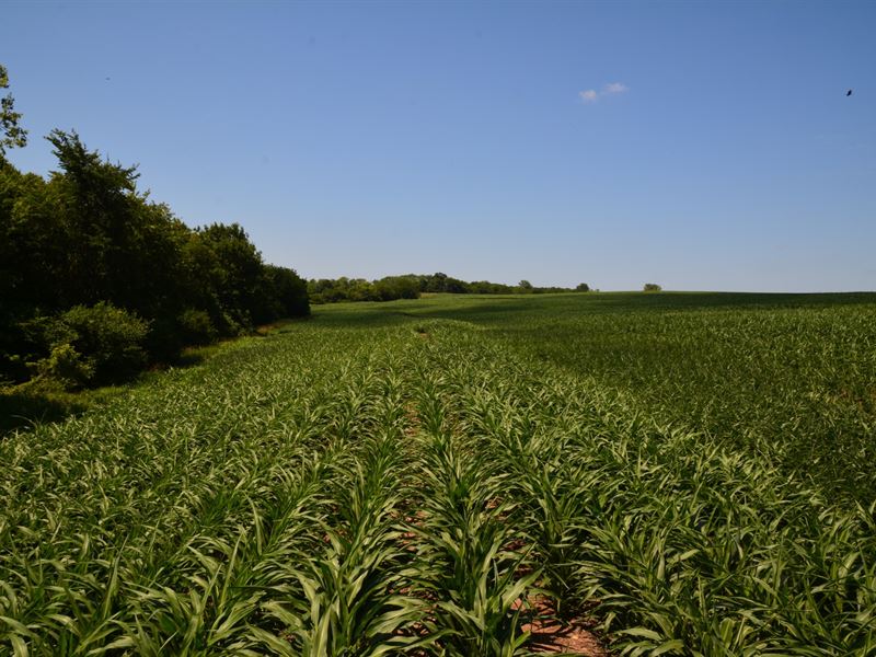 Whispering Meadows Hunt Tract : Oskaloosa : Jefferson County : Kansas