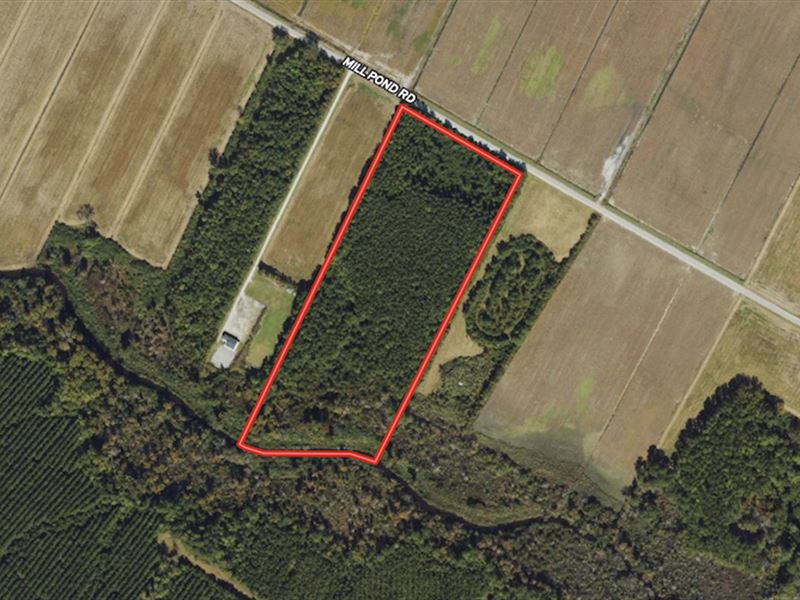 15.24 Acres of Recreational and Inv : Bayboro : Pamlico County : North Carolina