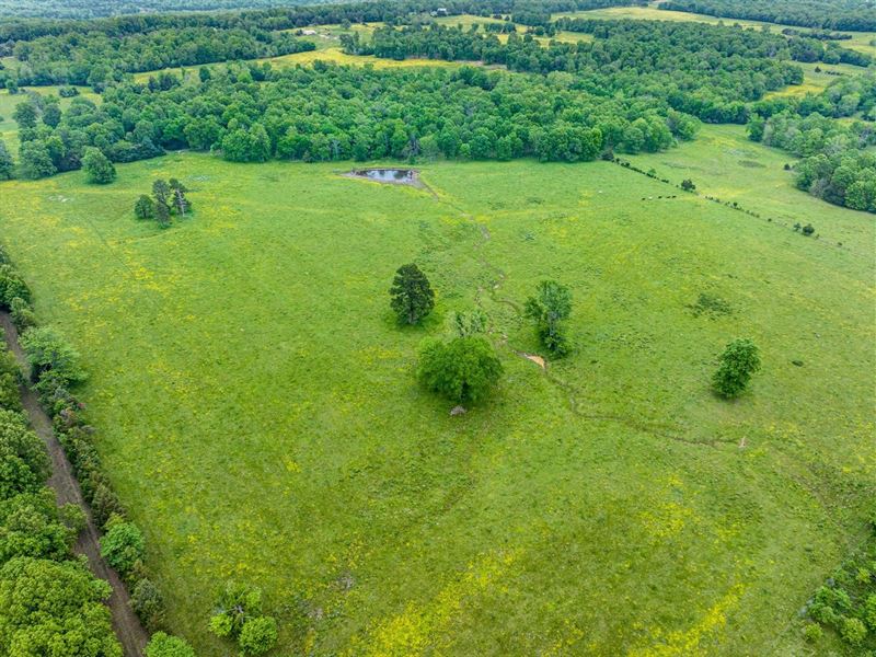 305 Acres, County Water, Ponds : Evening Shade : Sharp County : Arkansas