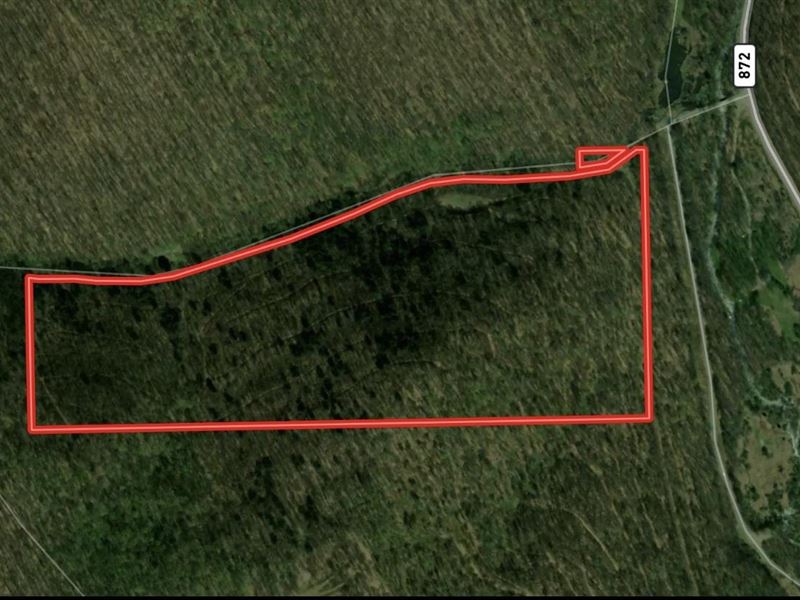 Potter County, 66 Acres, Stat : Coudersport : Potter County : Pennsylvania