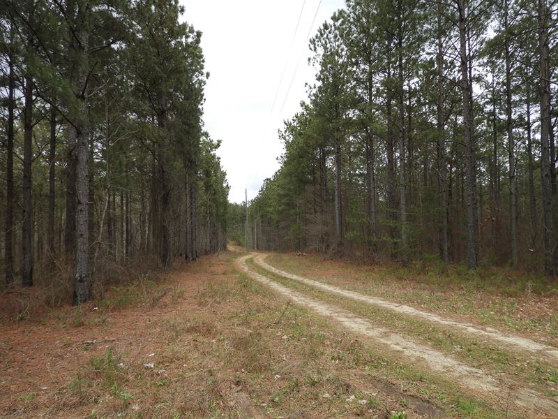 Yorkville Pass : Rockmart : Paulding County : Georgia