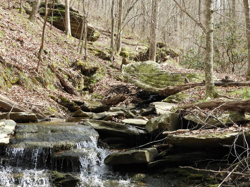 Browning Road : Rockmart : Polk County : Georgia