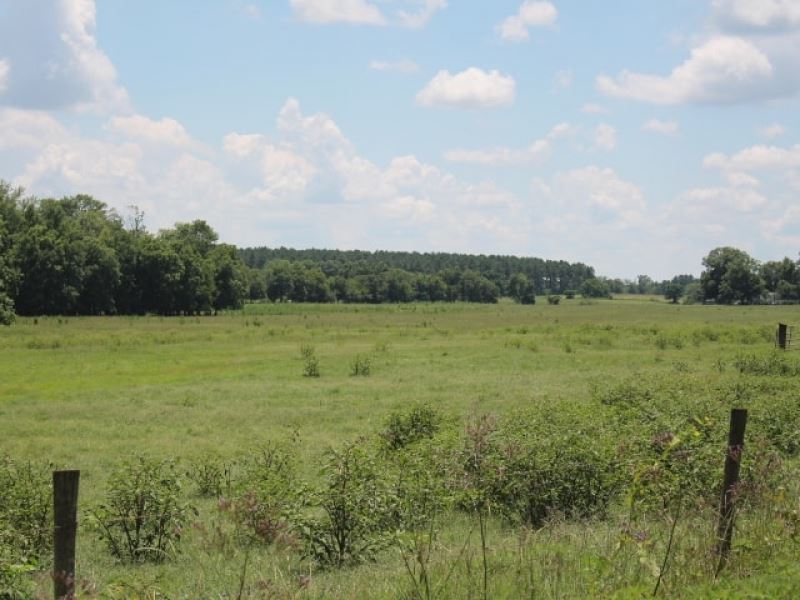 Reduced By $56K, Fenced Pasture &Am : Vienna : Dooly County : Georgia
