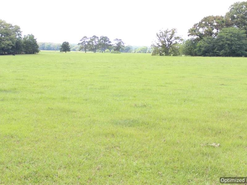Mini Farm Or Dream Home Site : Benton : Yazoo County : Mississippi