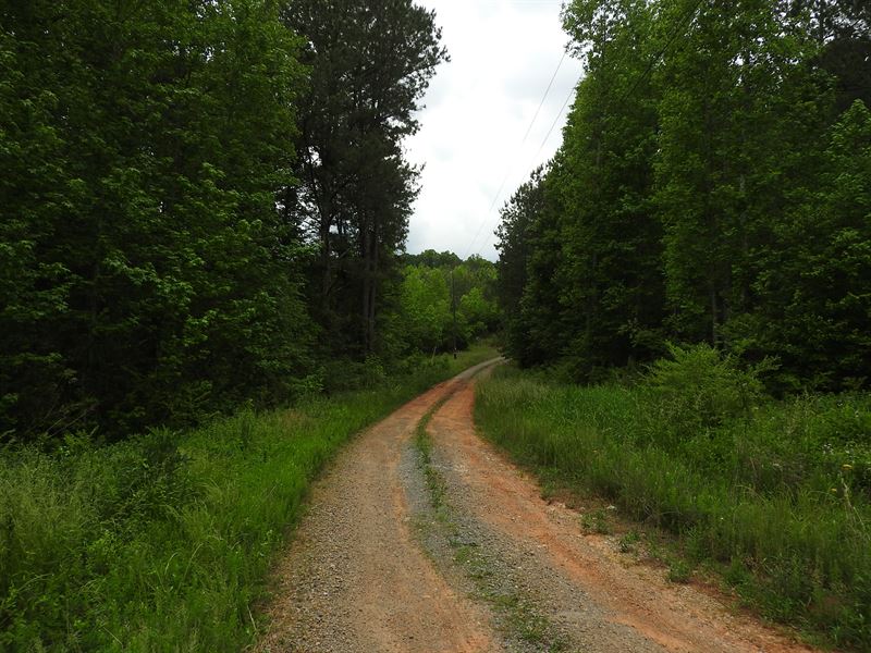 99 Acres Pickens County - 9684 : Talking Rock : Pickens County : Georgia