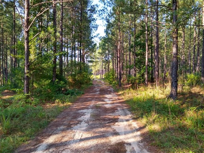 Timber with Natural Duck Pond : Blair : Fairfield County : South Carolina