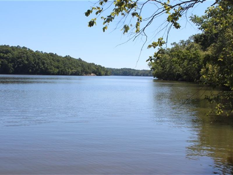 120 Acres, Fairfield County, Sc : Great Falls : Fairfield County : South Carolina