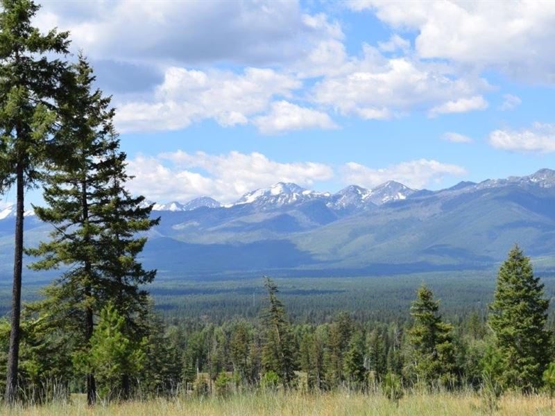 Antler Ridge Homesite 3 : Condon : Missoula County : Montana
