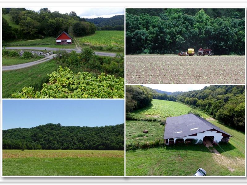 308 Ac, Home, Barns, Ponds, Creeks : Whitleyville : Jackson County : Tennessee
