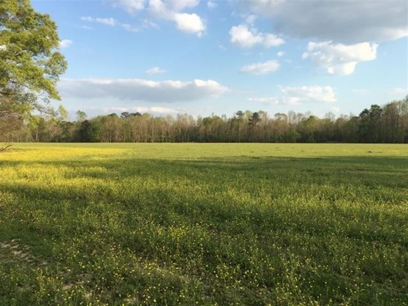 Copiah County Wooded & Open Hunting : Wesson : Copiah County : Mississippi