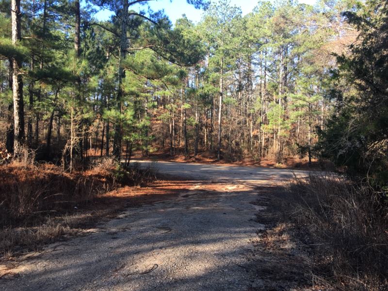Yogi Bear's Neighbor : Pelahatchie : Rankin County : Mississippi
