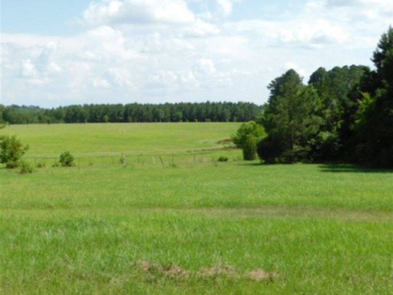 600 Acres in Copiah and Hinds Count : Utica : Hinds County : Mississippi