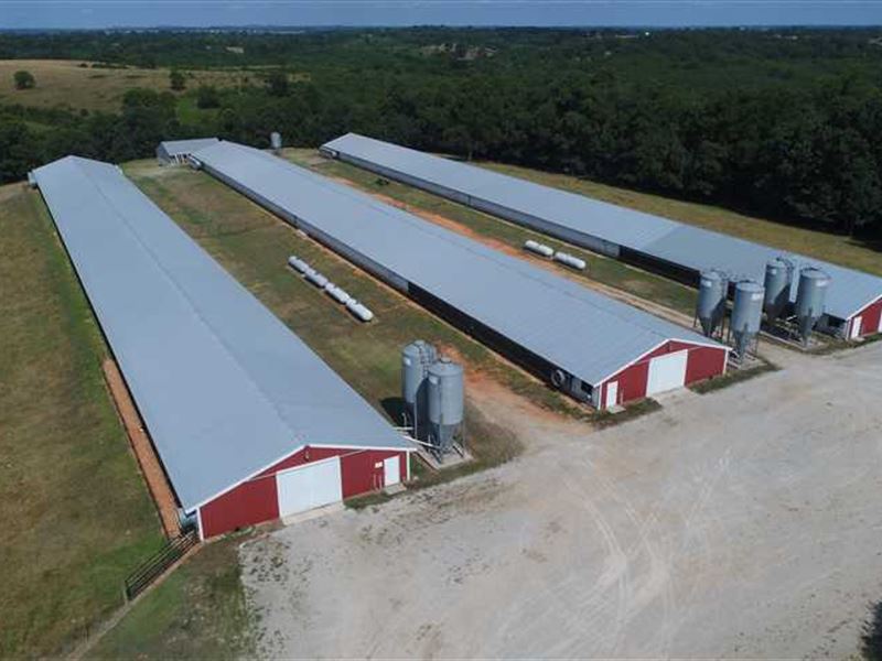 Tyson Broiler Farm Green Forest, AR : Green Forest : Carroll County : Arkansas