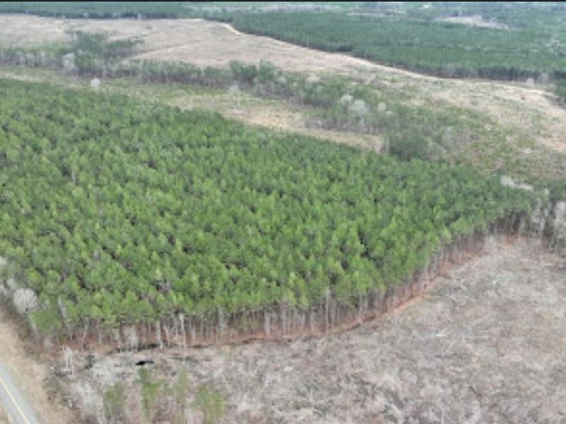 Highway 127 Tract C, Lasalle Parish : Nebo : La Salle Parish : Louisiana