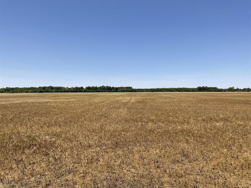 Dry Bayou Farm : Crowder : Quitman County : Mississippi