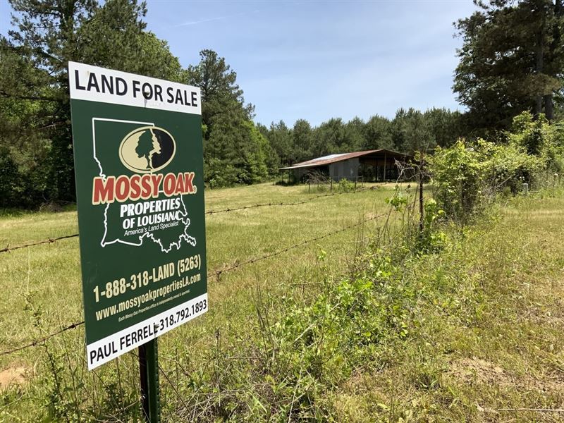 Fire Tower Road Tract, Catahoula PA : Aimwell : Catahoula Parish : Louisiana