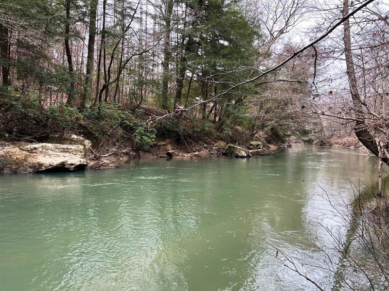 New River Property : Eldridge : Marion County : Alabama