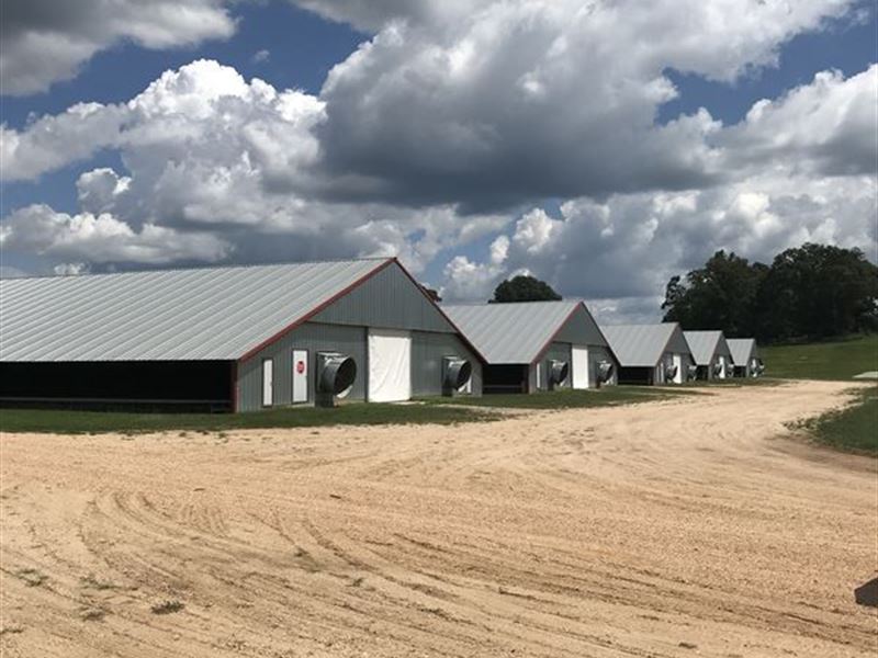 500+/- Ac Poultry Farm : Paulding : Jasper County : Mississippi