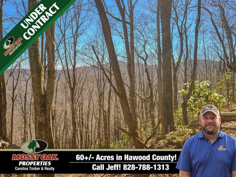 60 Unrestricted Acres Bordering : Waynesville : Haywood County : North Carolina